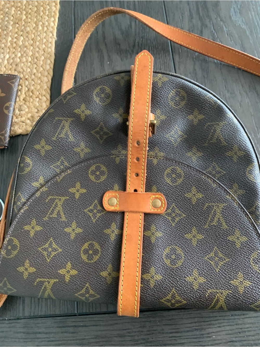 Louis Vuitton Monogram Canvas Crossbody Saddle Bag in Brown and Tan - Picture 12 of 16